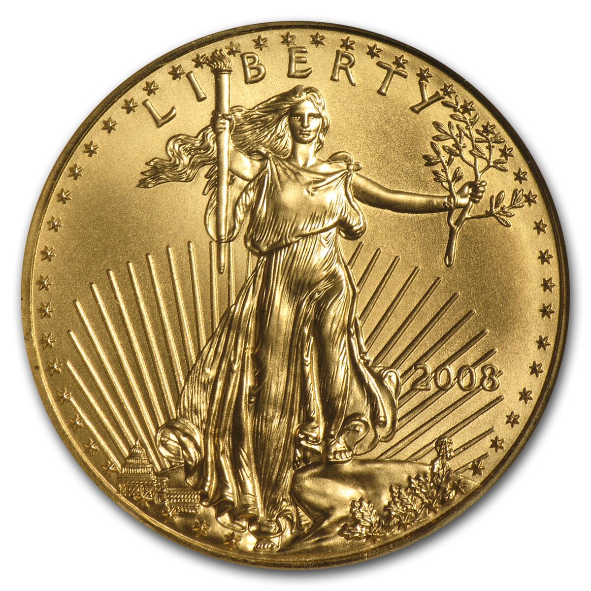 2008 1 oz American Gold Eagle MS-70 NGC (Early Releases)