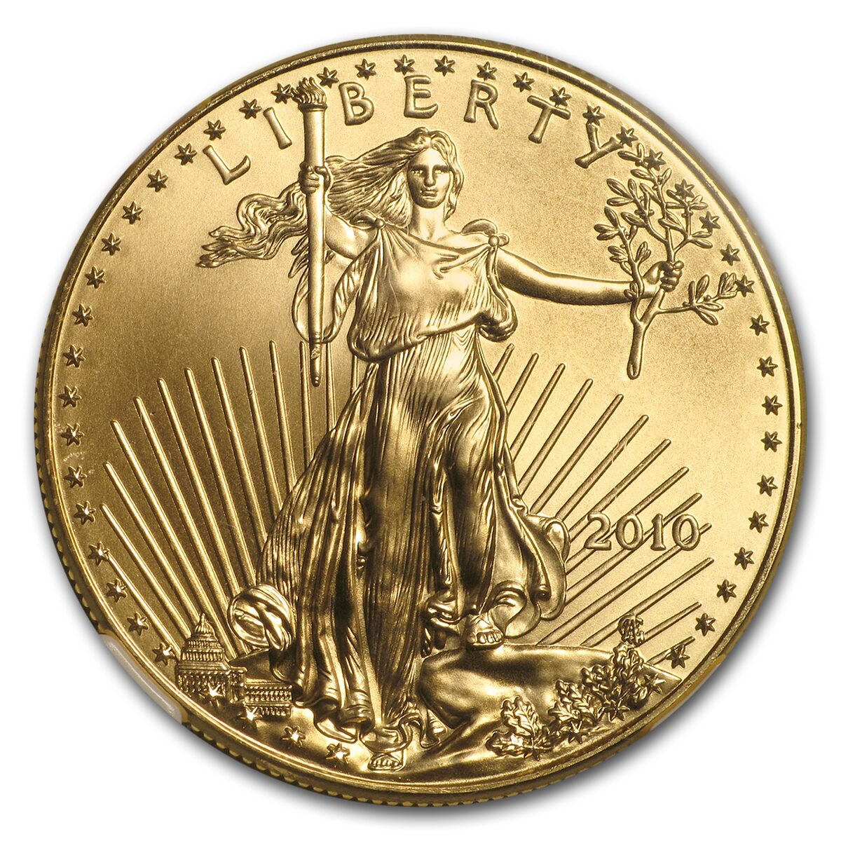 2010 1 oz American Gold Eagle MS-69 NGC (Early Releases)