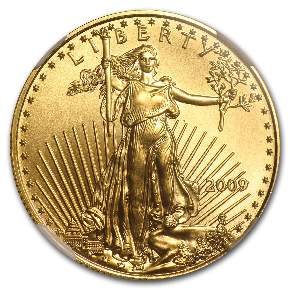 2009 1/2 oz American Gold Eagle MS-70 NGC (Early Releases)