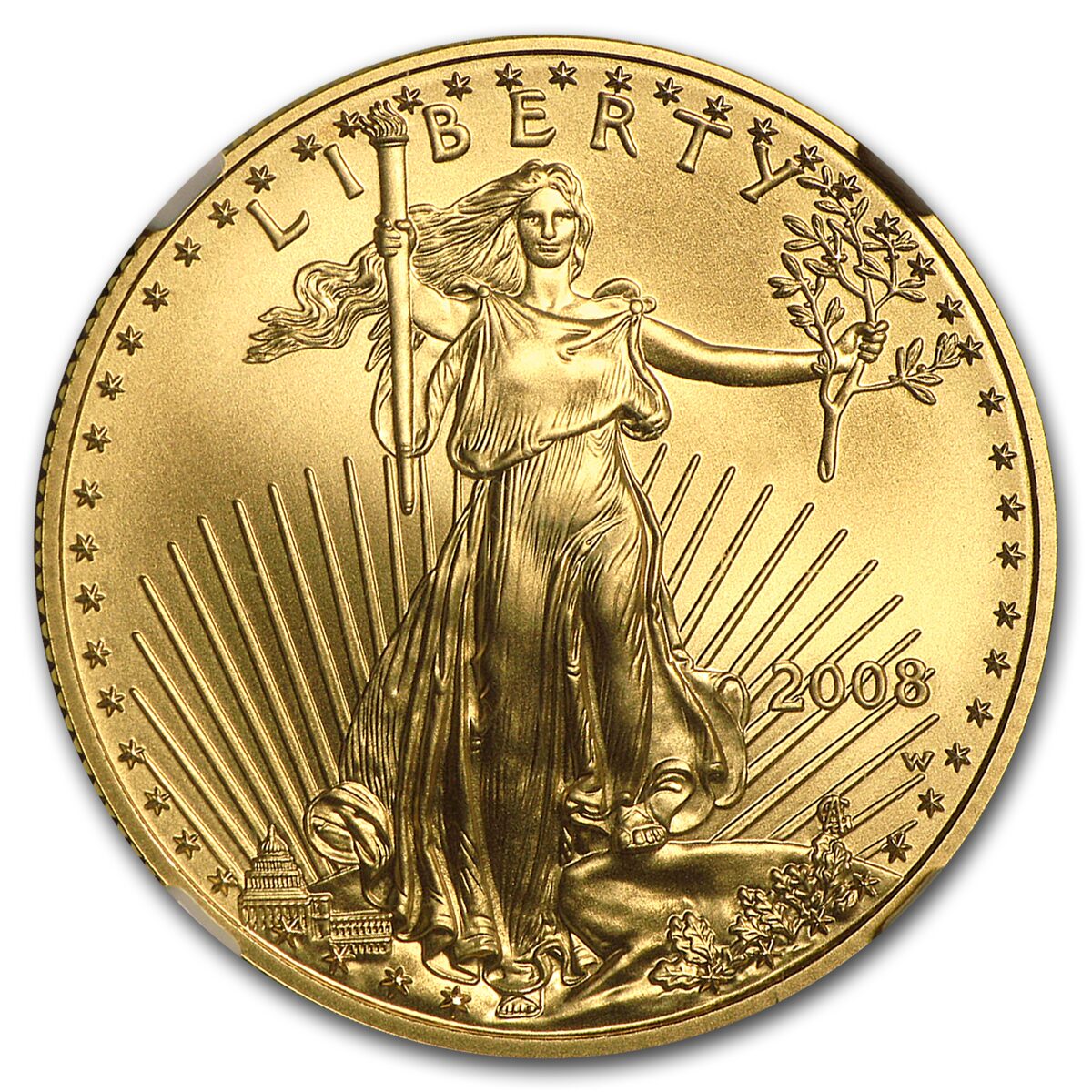 2008-W 1/2 oz Burnished American Gold Eagle MS/SP-70 NGC
