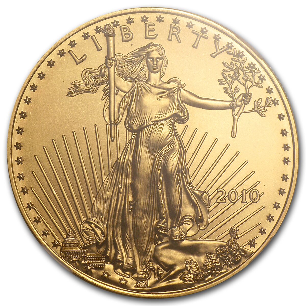 2010 1 oz American Gold Eagle MS-70 NGC (Early Releases)