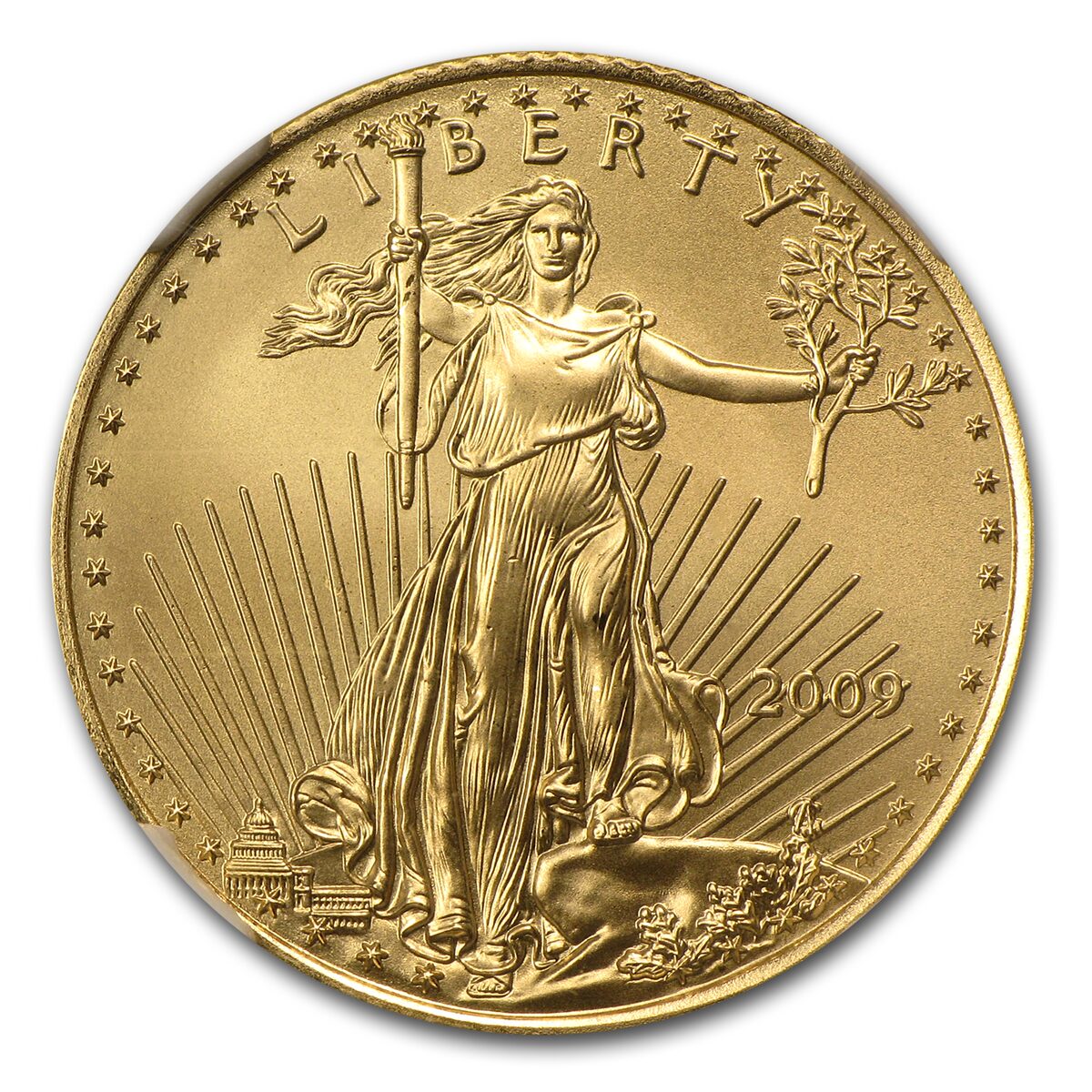 2009 1/4 oz American Gold Eagle MS-70 NGC (Early Releases)