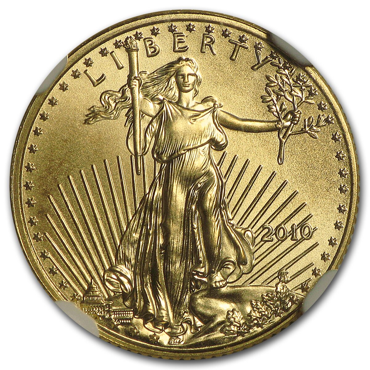 2010 1/10 oz American Gold Eagle MS-70 NGC (Early Releases)