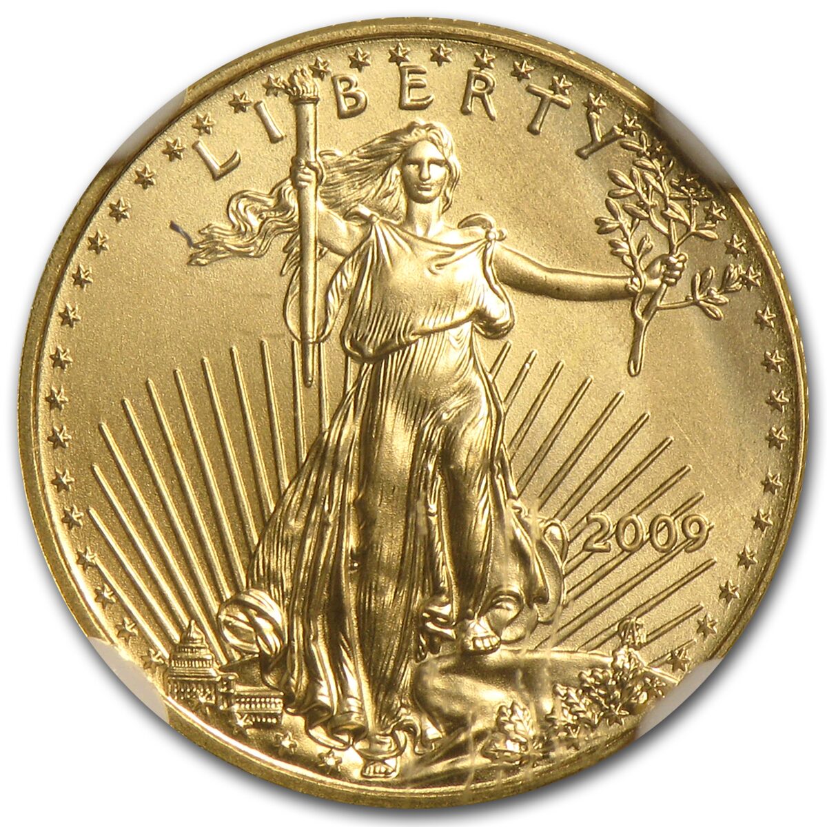 2009 1/10 oz American Gold Eagle MS-70 NGC