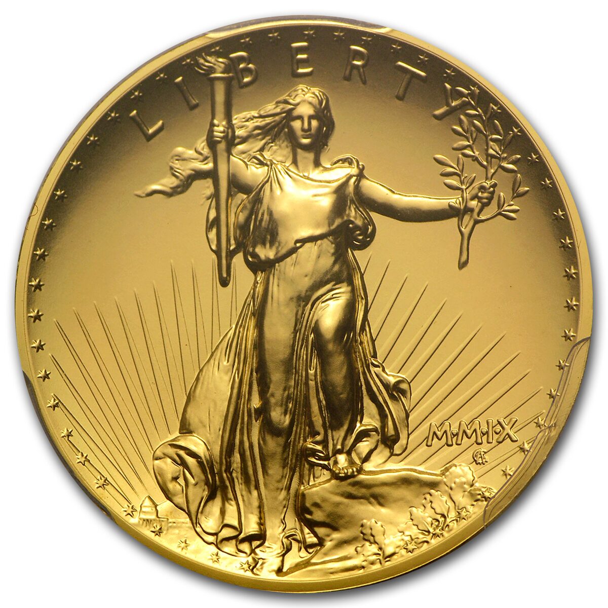 2009 Ultra High Relief Double Eagle MS-69 PCGS (Gold Foil)