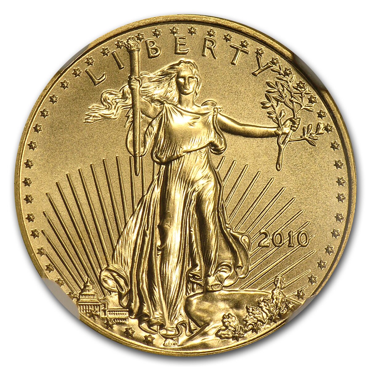2010 1/10 oz American Gold Eagle MS-69 NGC