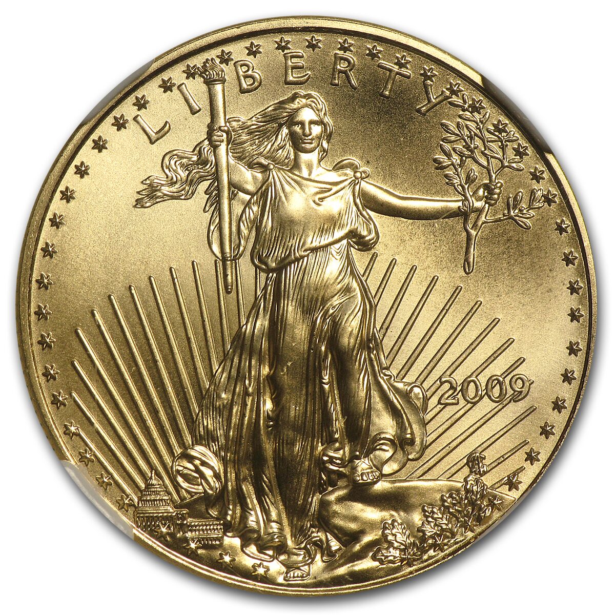 2009 1/2 oz American Gold Eagle MS-69 NGC (Early Releases)