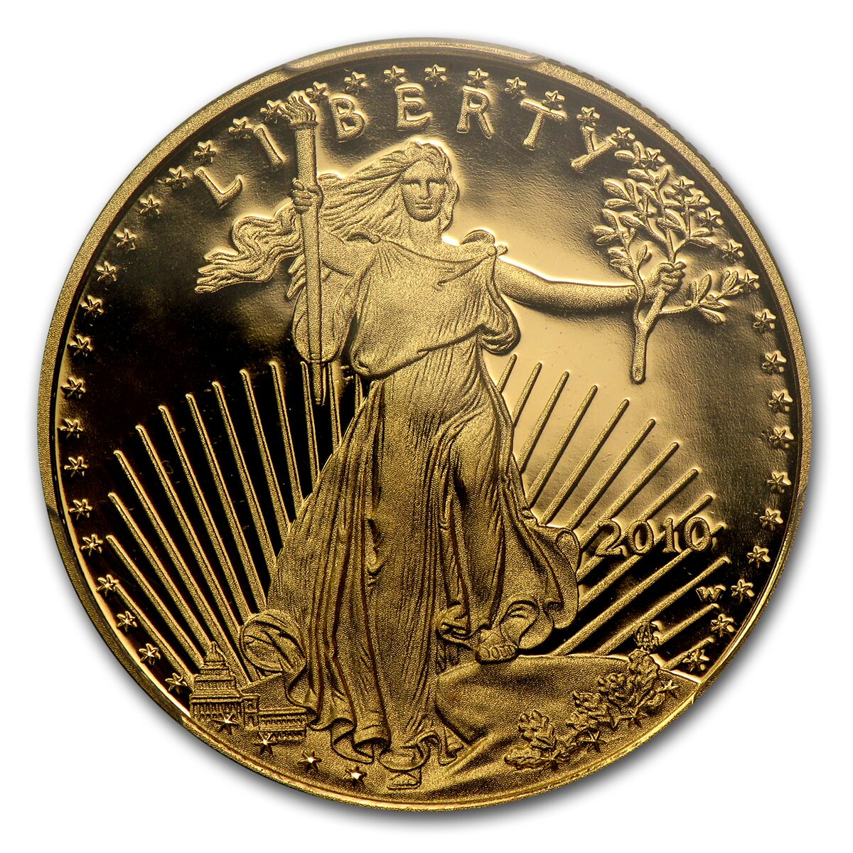 2010-W 1/2 oz Proof American Gold Eagle PR-70 DCAM PCGS