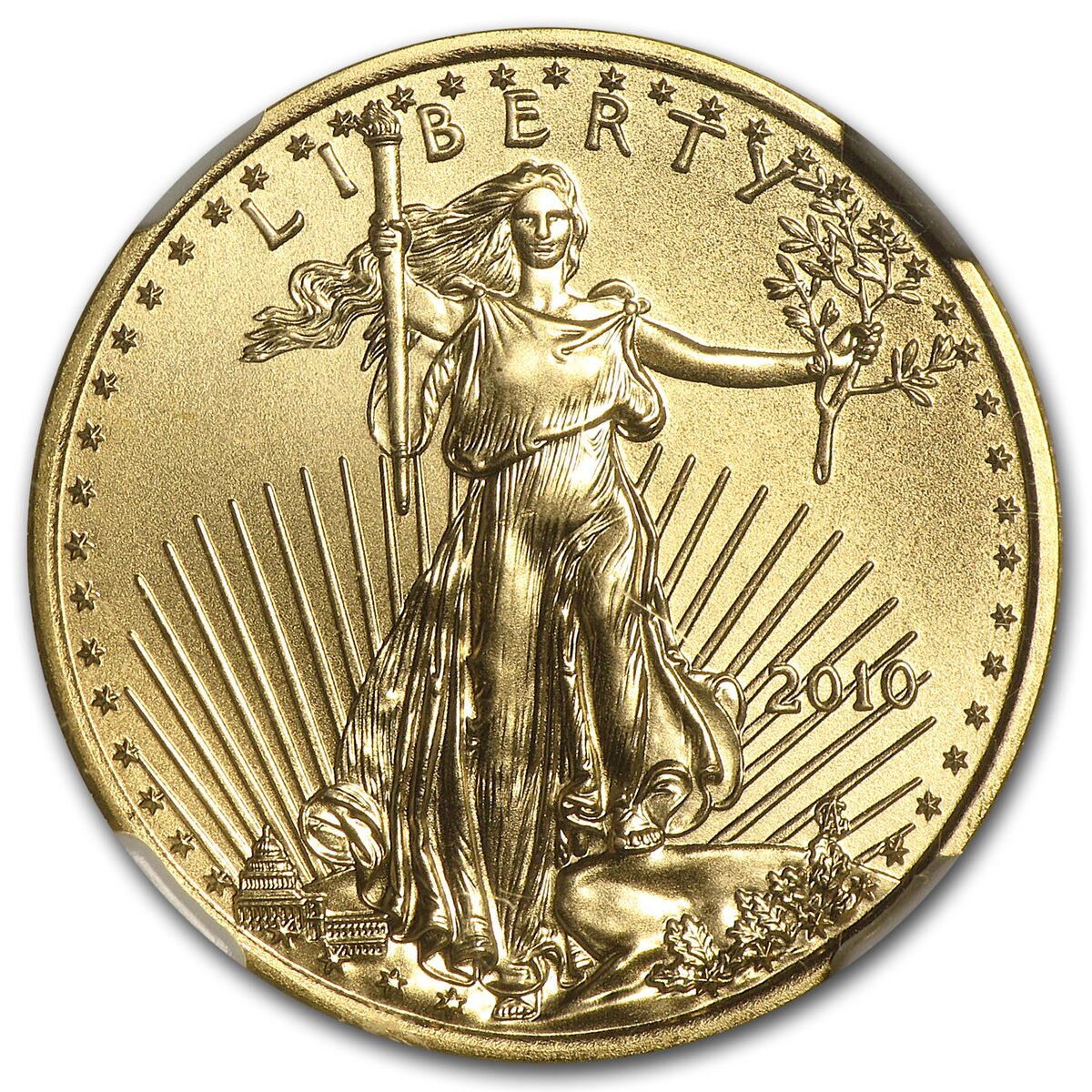2010 1/4 oz American Gold Eagle MS-69 NGC (Early Releases)