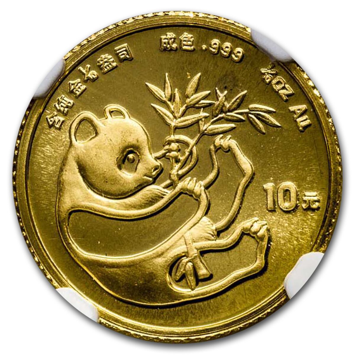 1984 China 1/10 oz Gold Panda MS-69 NGC