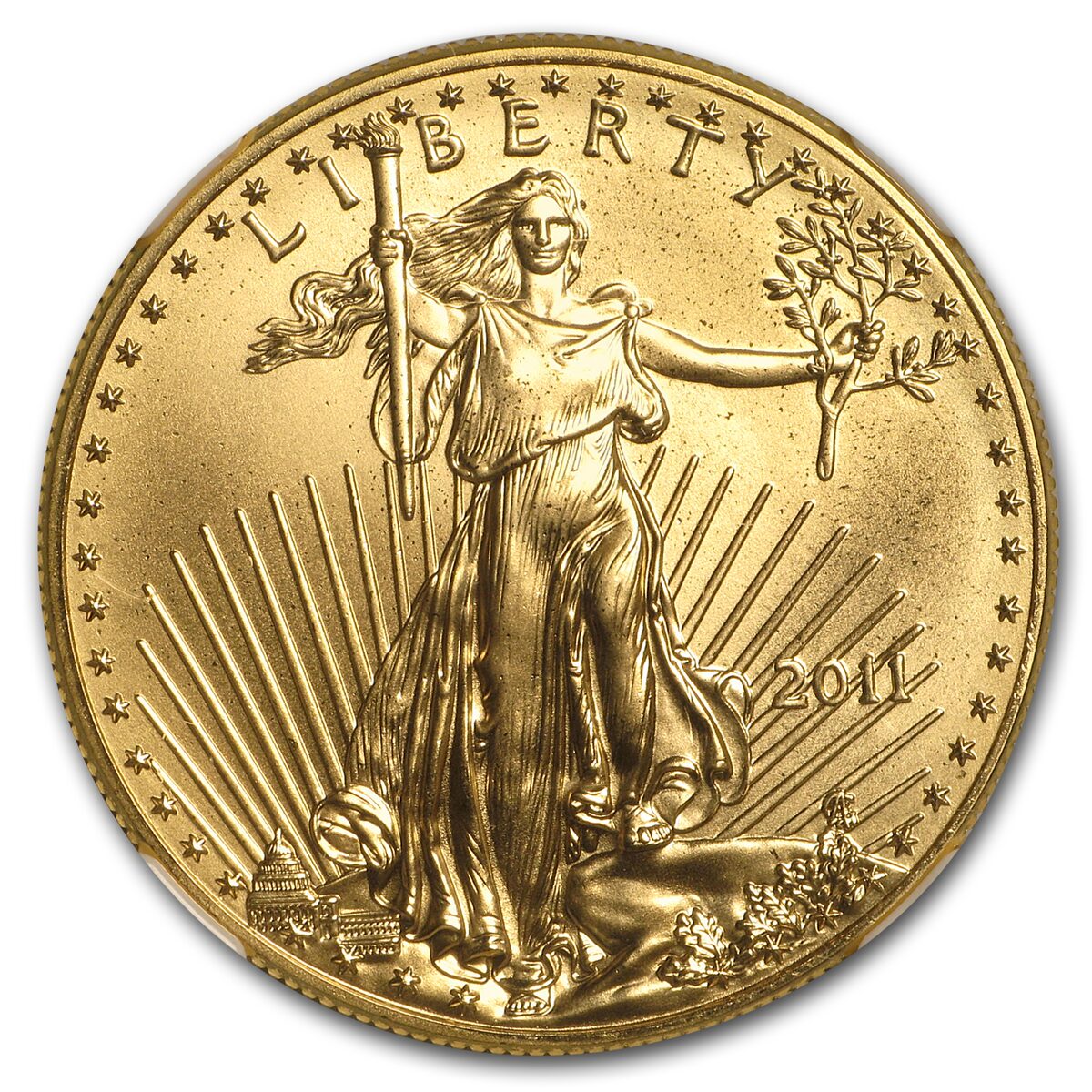 2011 1 oz American Gold Eagle MS-70 NGC