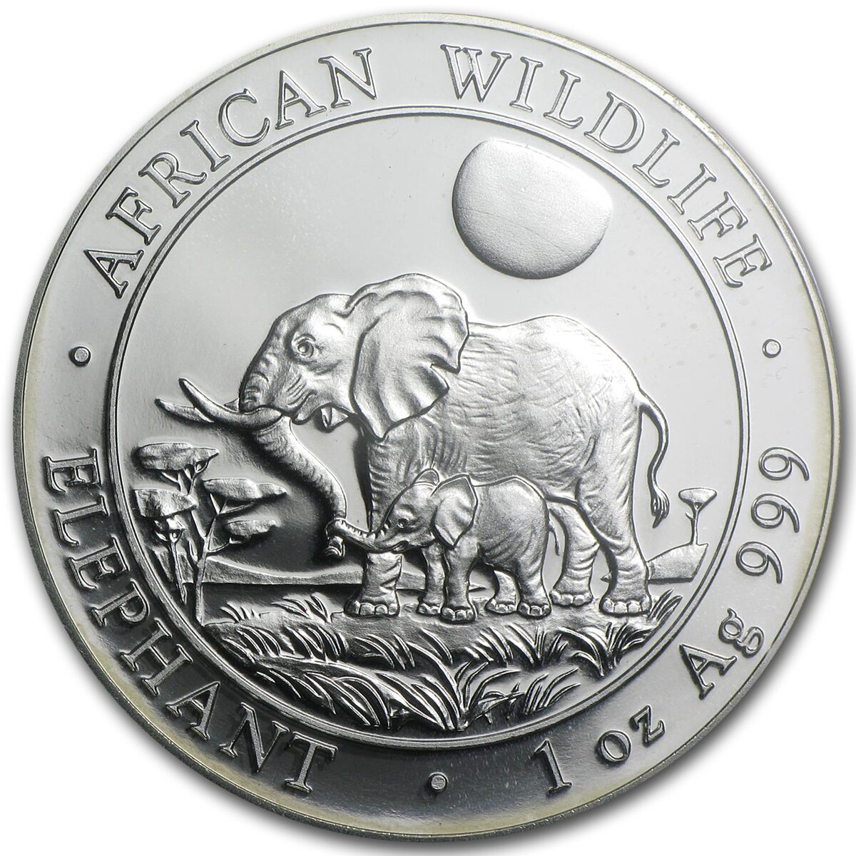 2011 Somalia 1 oz Silver African Elephant PR-69 PCGS
