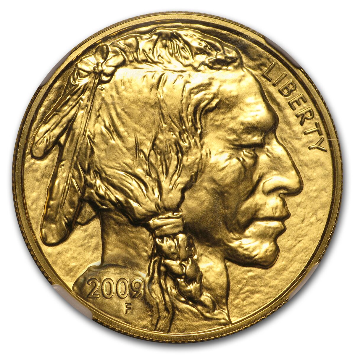 2009 1 oz Gold Buffalo MS-70 NGC (Early Releases)