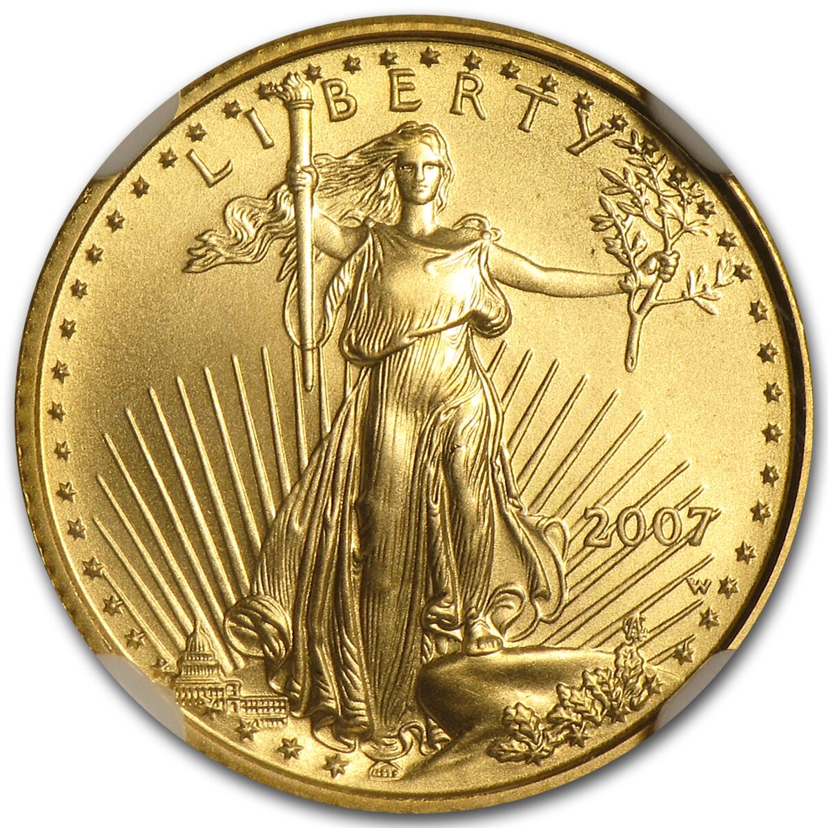 2007-W 1/10 oz Burnished American Gold Eagle MS-69 NGC