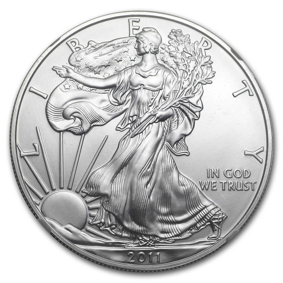 2011 (S) Silver Eagle MS-69 NGC (Golden Gate Label)