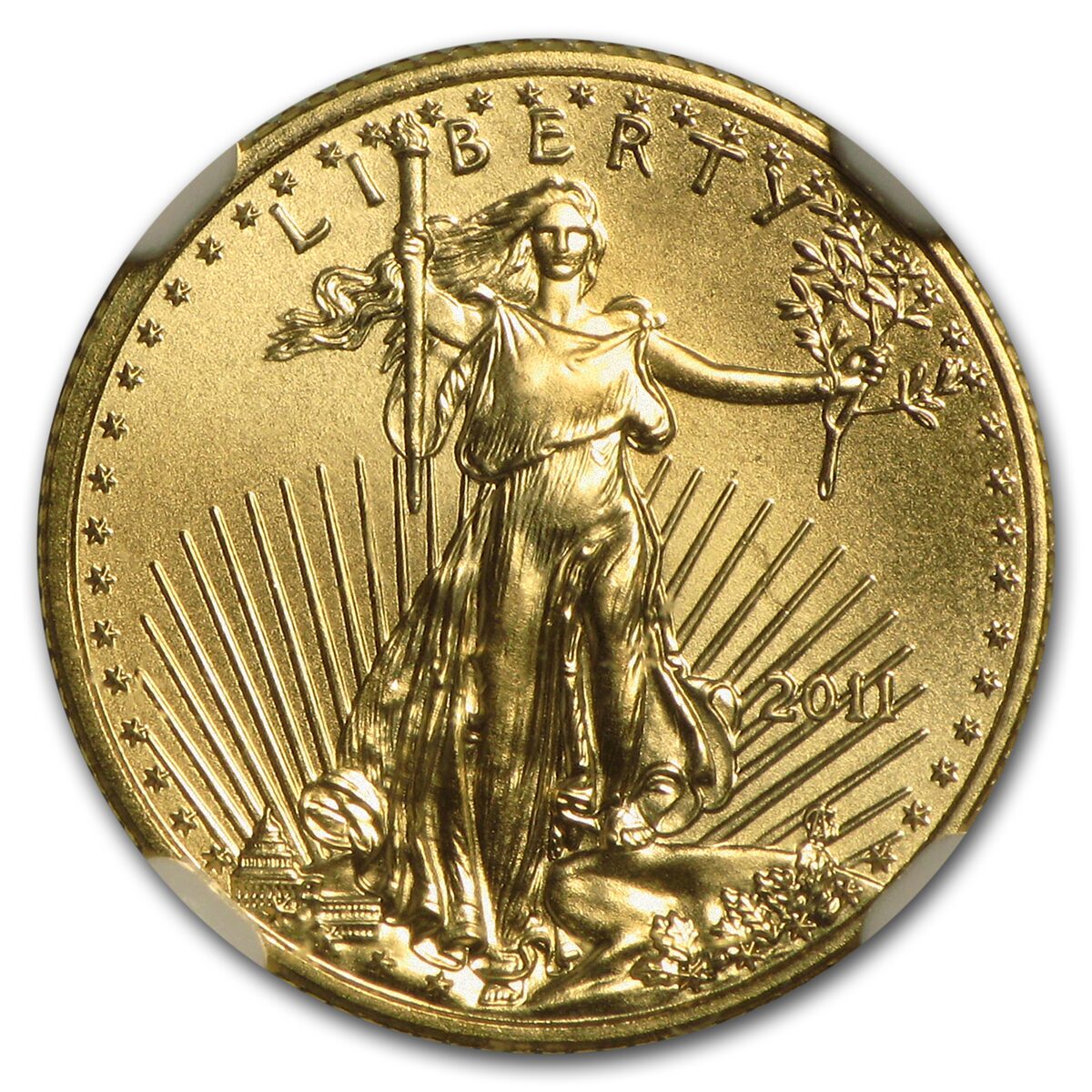 2011 1/10 oz American Gold Eagle MS-70 NGC (Early Releases)