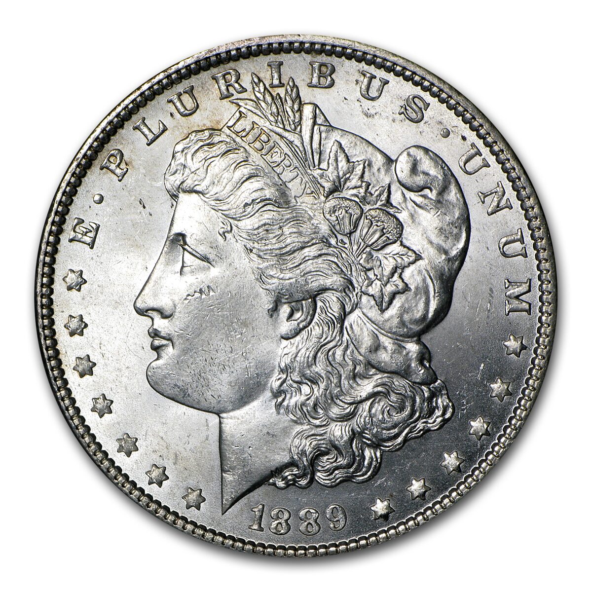 1889 Morgan Dollar BU (VAM-5A, Pitted Rev, Hit List-40)