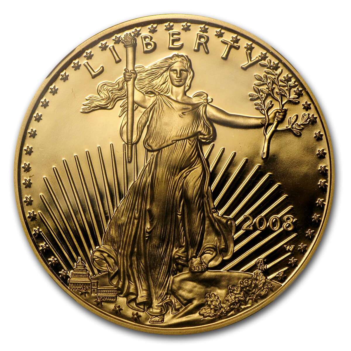 2008-W 1 oz Proof American Gold Eagle PF-70 UCAM NGC