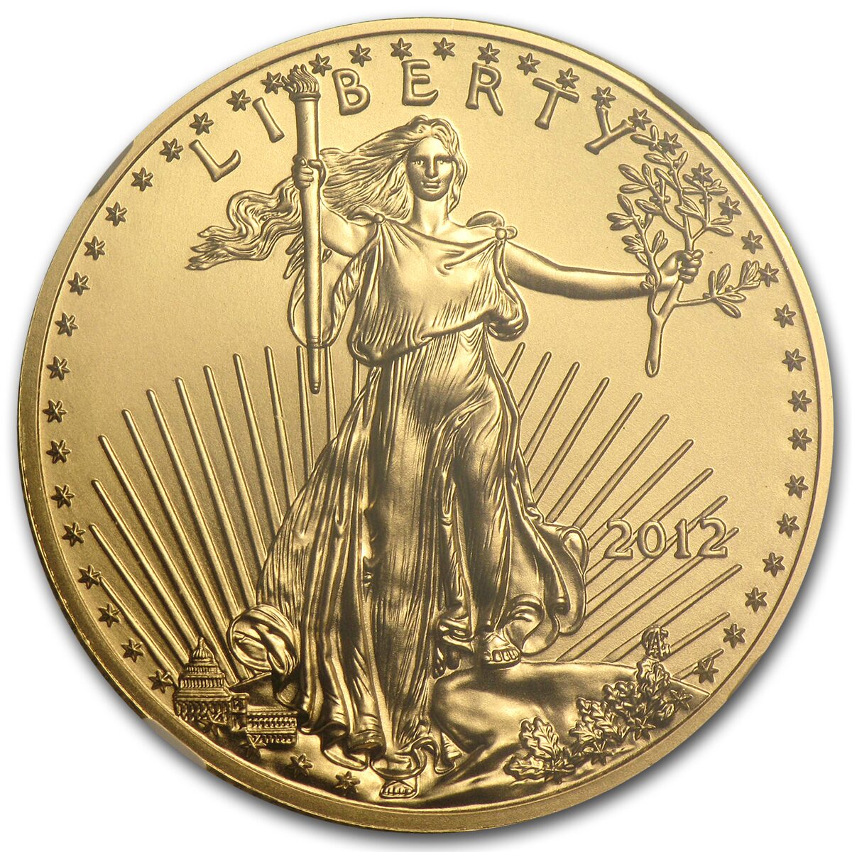 2012 1/2 oz American Gold Eagle MS-70 NGC (Early Releases)