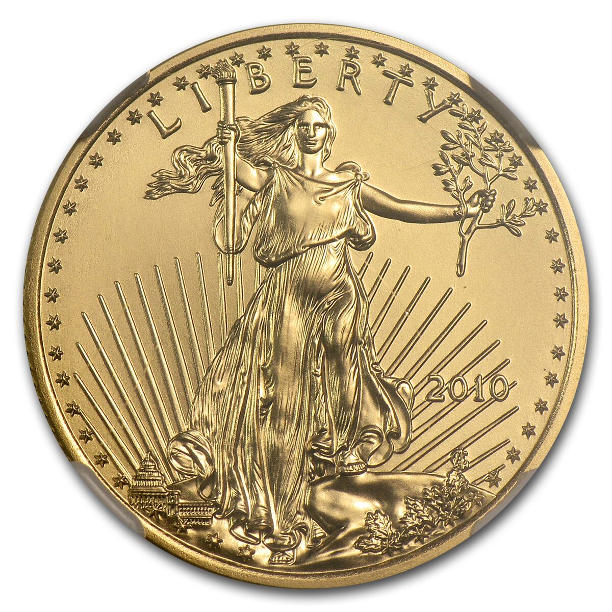 2010 1/4 oz American Gold Eagle MS-70 NGC