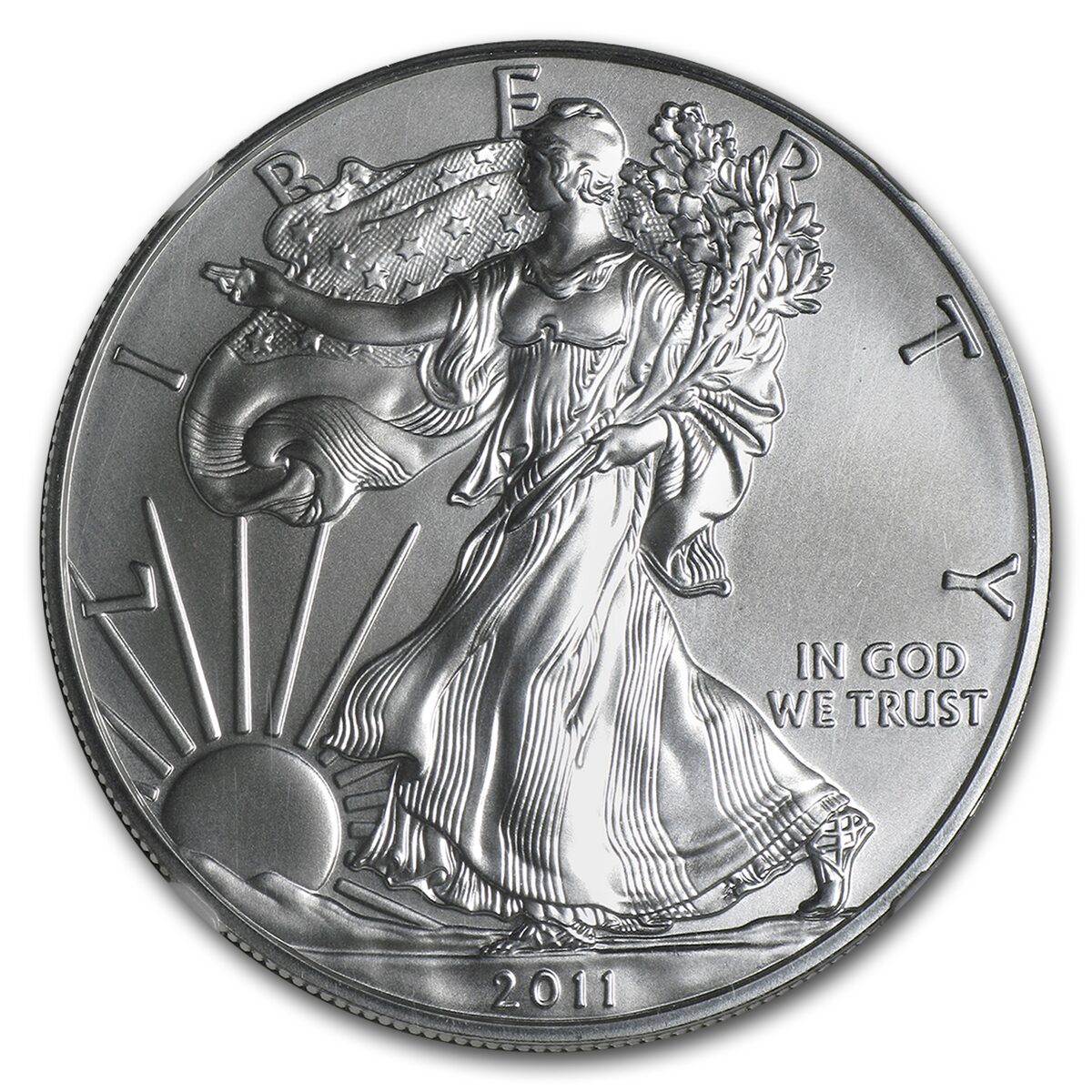 2011-W Burnished Silver Eagle MS-69 NGC (ER, 25th Ann, Blue Lbl)