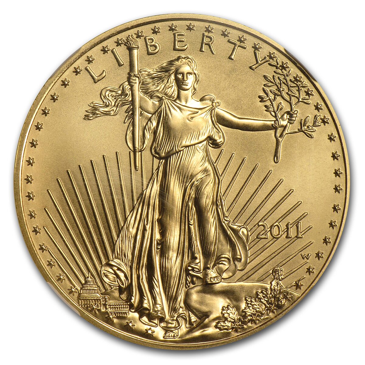 2011-W 1 oz Burnished Gold Eagle MS-70 NGC (ER)