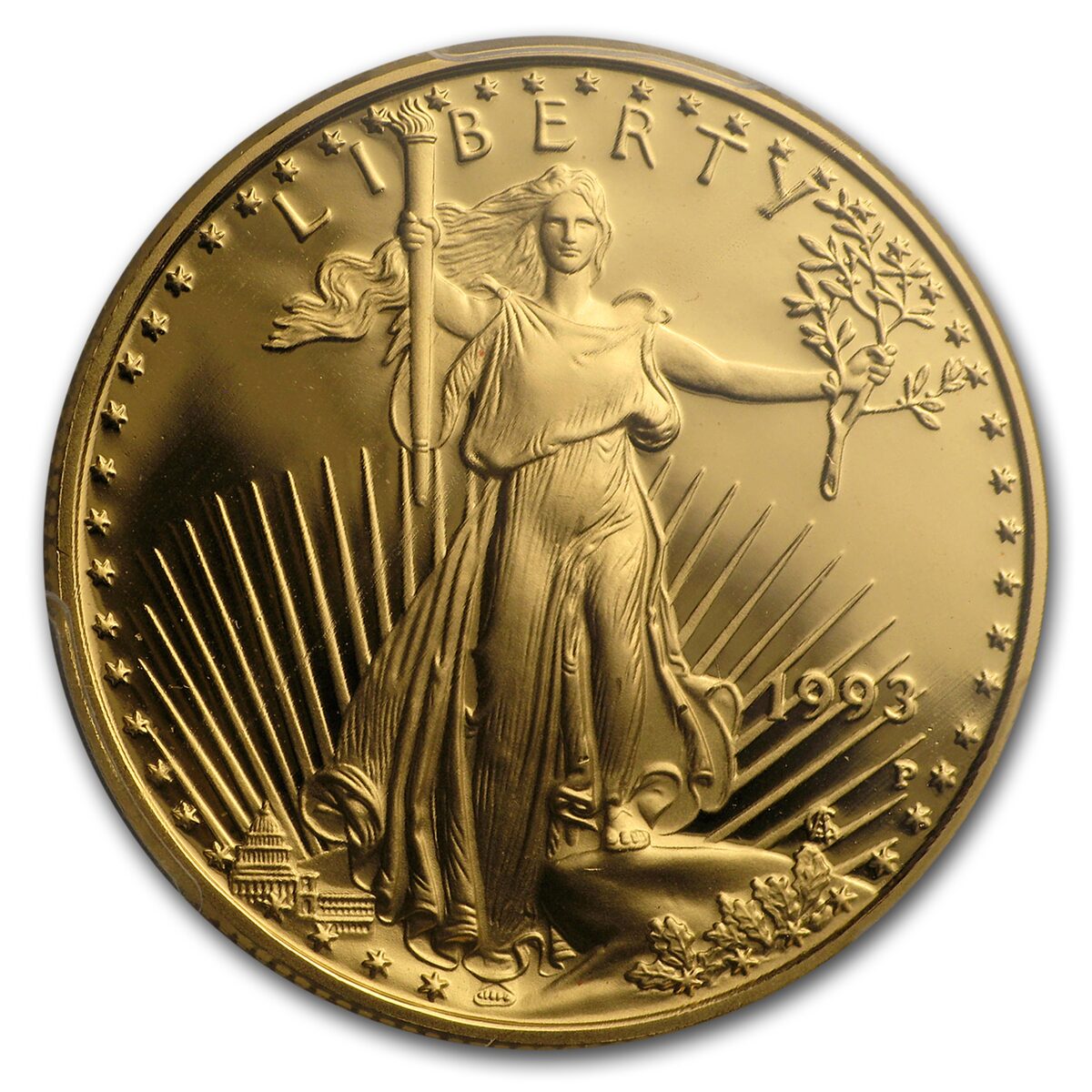 1993-P 1/2 oz Proof American Gold Eagle PR-70 PCGS