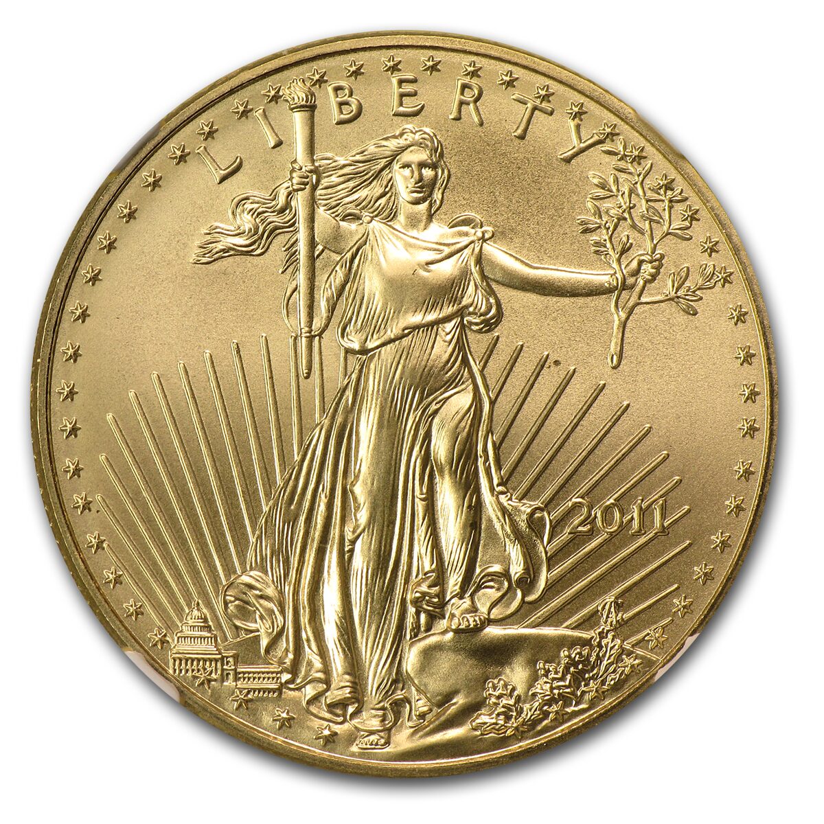 2011 1/2 oz American Gold Eagle MS-70 NGC