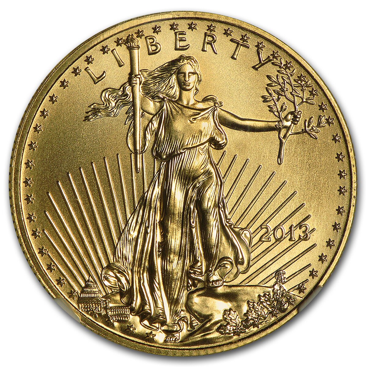 2013 1/2 oz American Gold Eagle MS-70 NGC (First Releases)