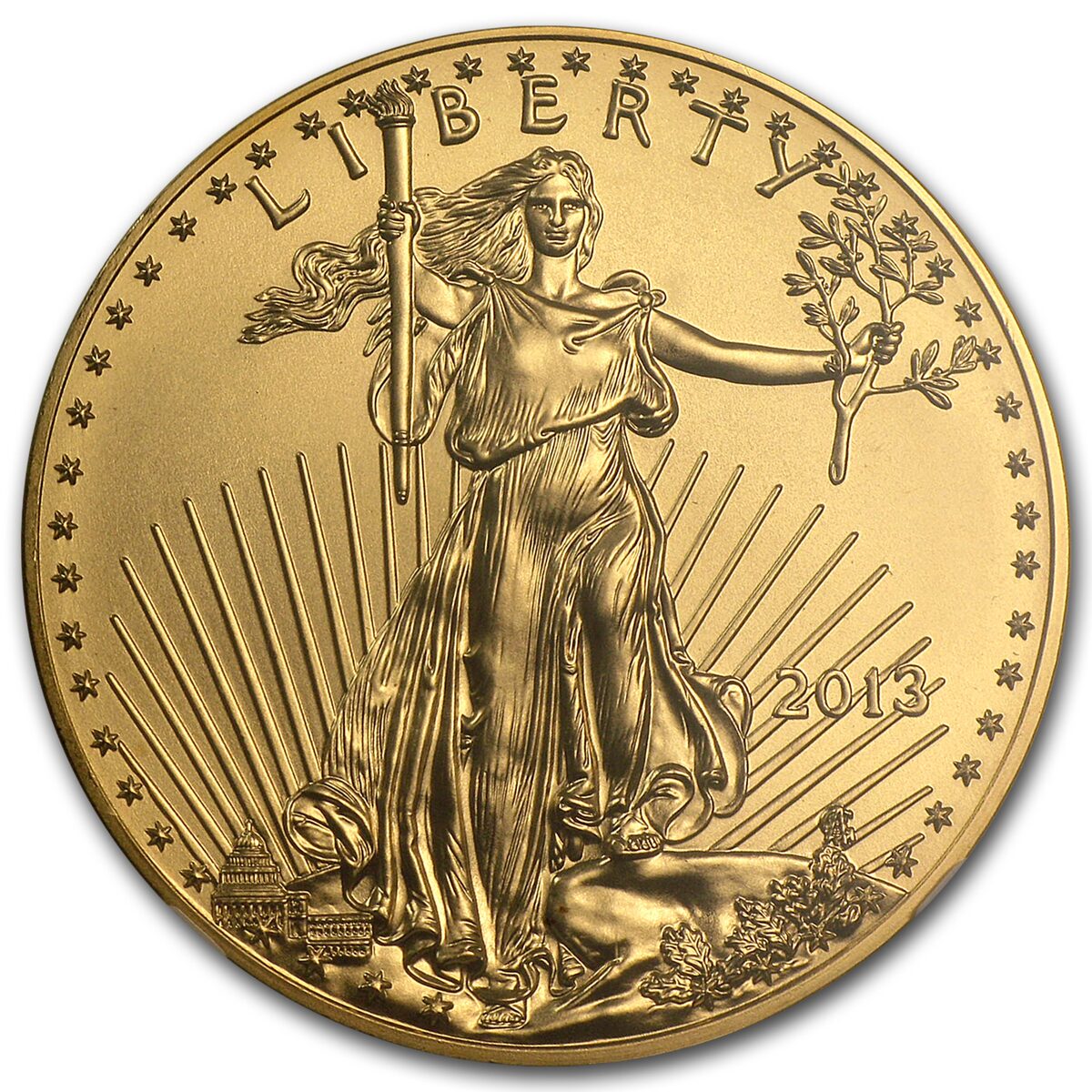 2013 1 oz American Gold Eagle MS-70 NGC (Early Releases)