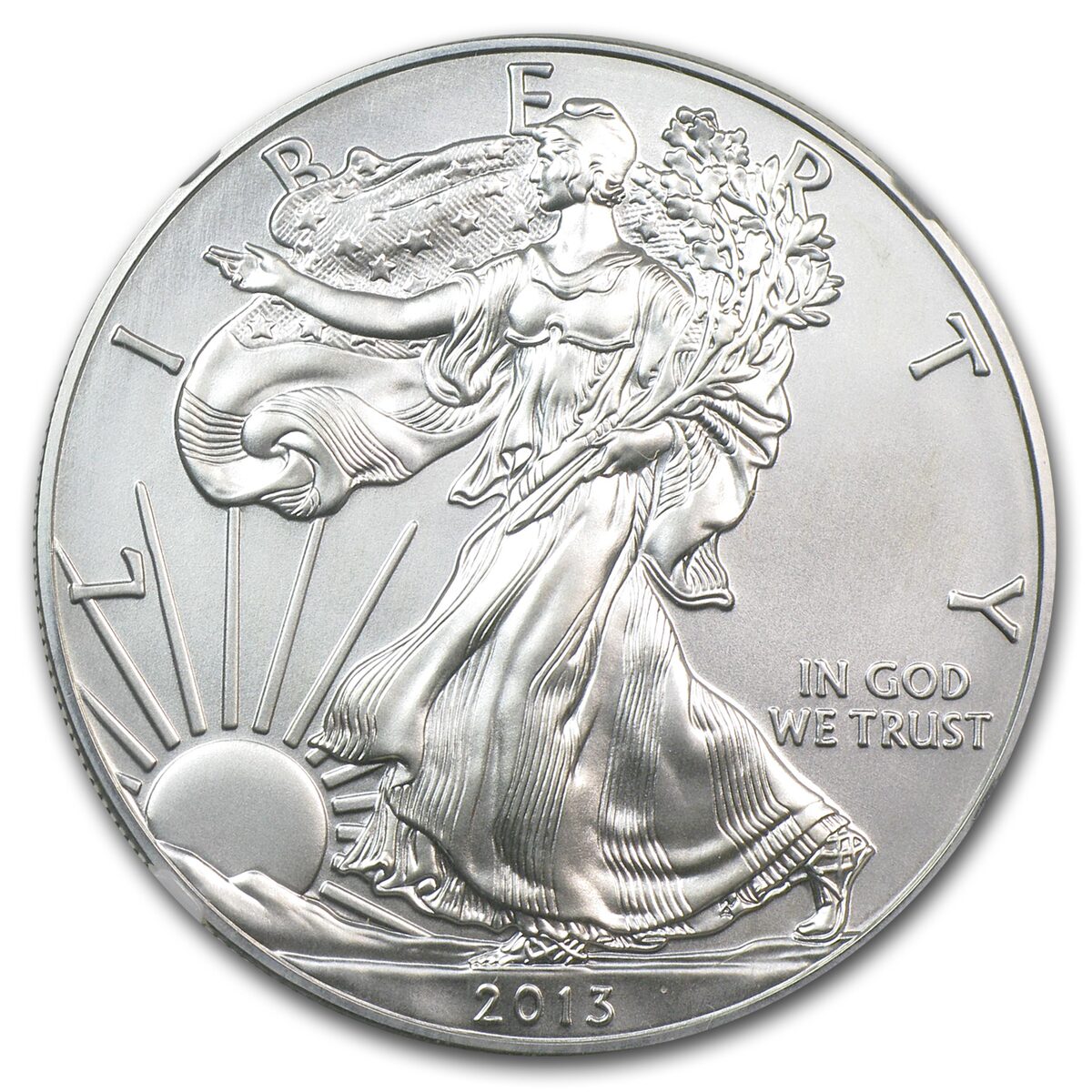 2013-W Burnished American Silver Eagle MS-69 NGC (Early Releases)