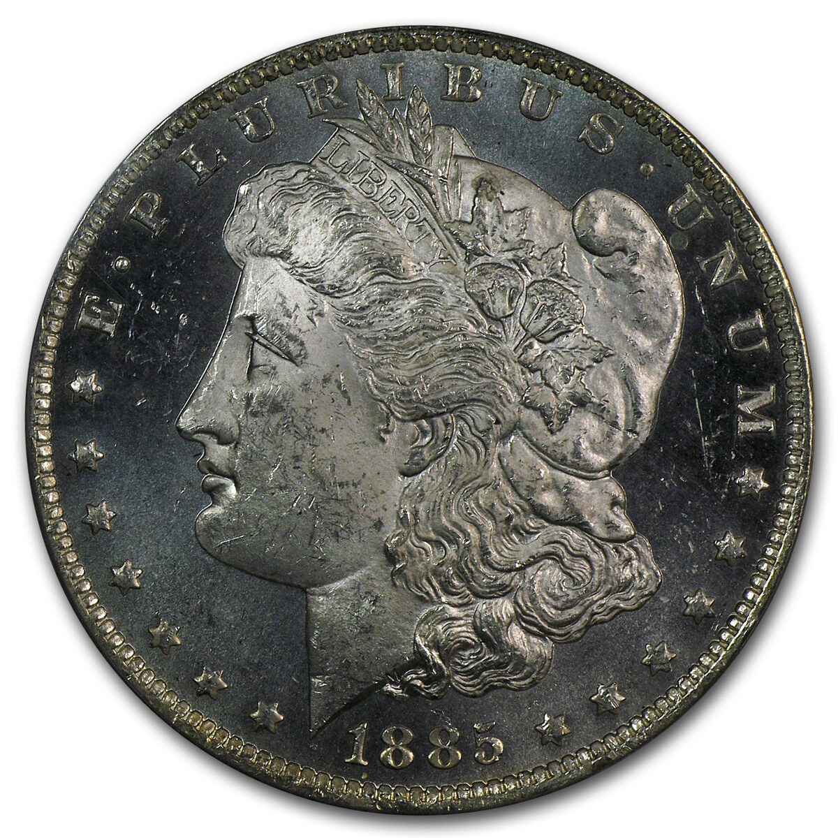 1878-1904 Morgan Dollars MS-63 DMPL PCGS