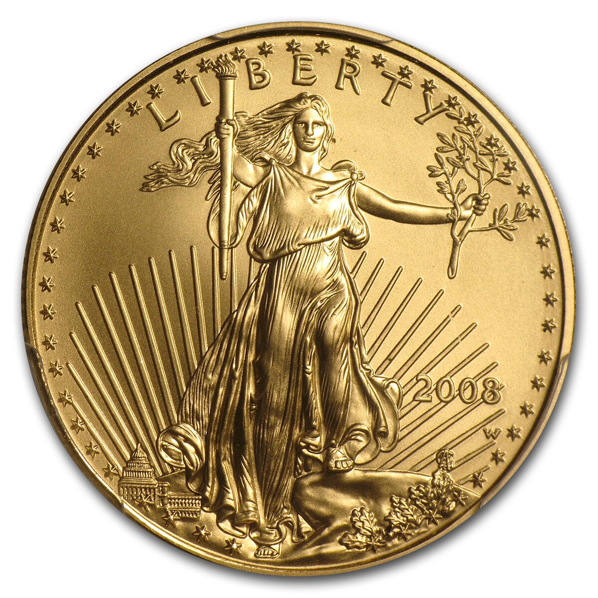 2008-W 1/2 oz Burnished American Gold Eagle MS-69 PCGS