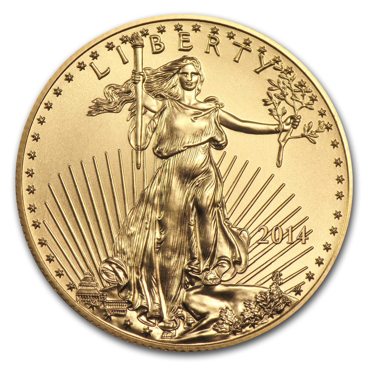 2014 1 oz American Gold Eagle MS-69 PCGS (FirstStrike®)