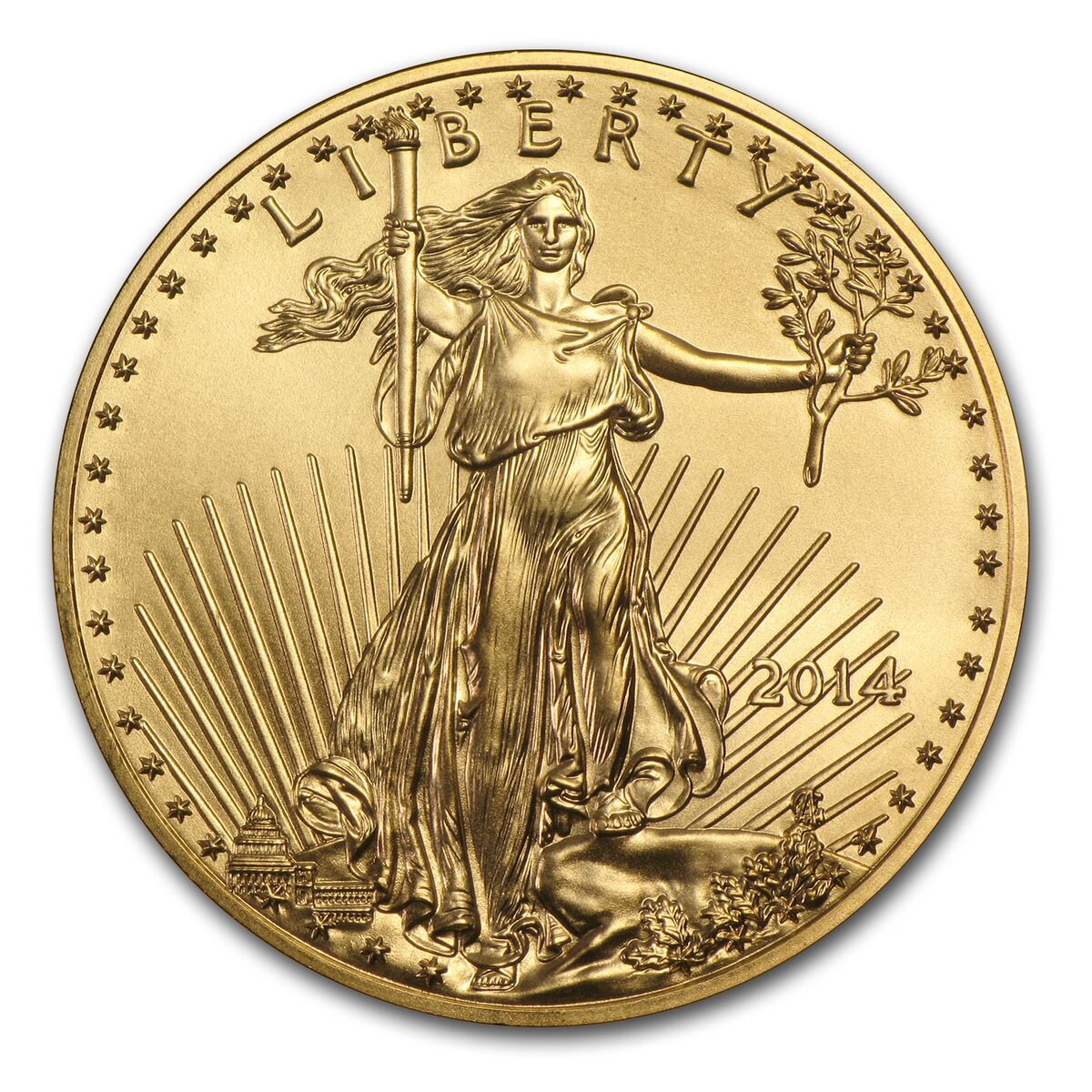 2014 1/10 oz American Gold Eagle MS-70 NGC (Early Releases)