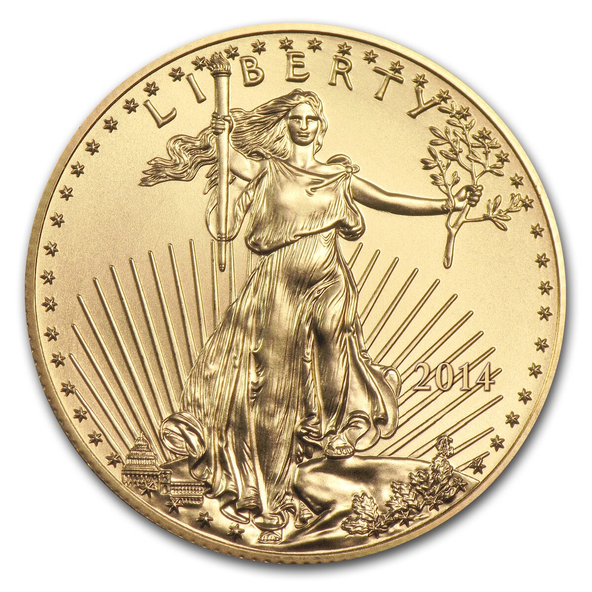 2014 1/4 oz American Gold Eagle MS-70 NGC (Early Releases)