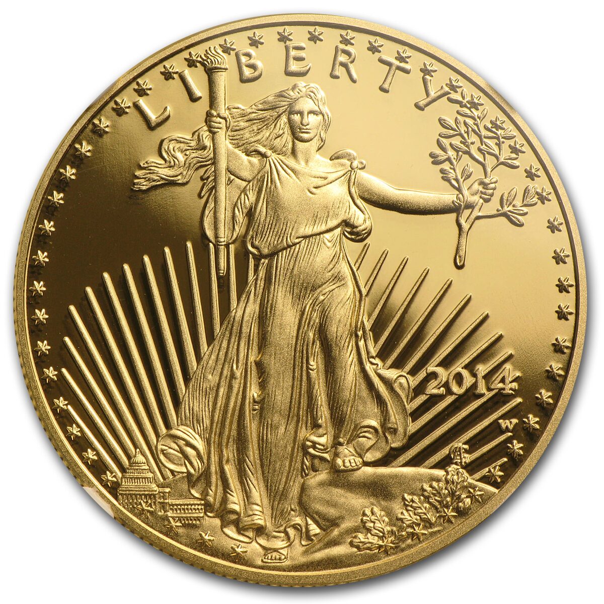 2014-W 1 oz Proof Gold Eagle PF-70 UCAM NGC (Early Releases)