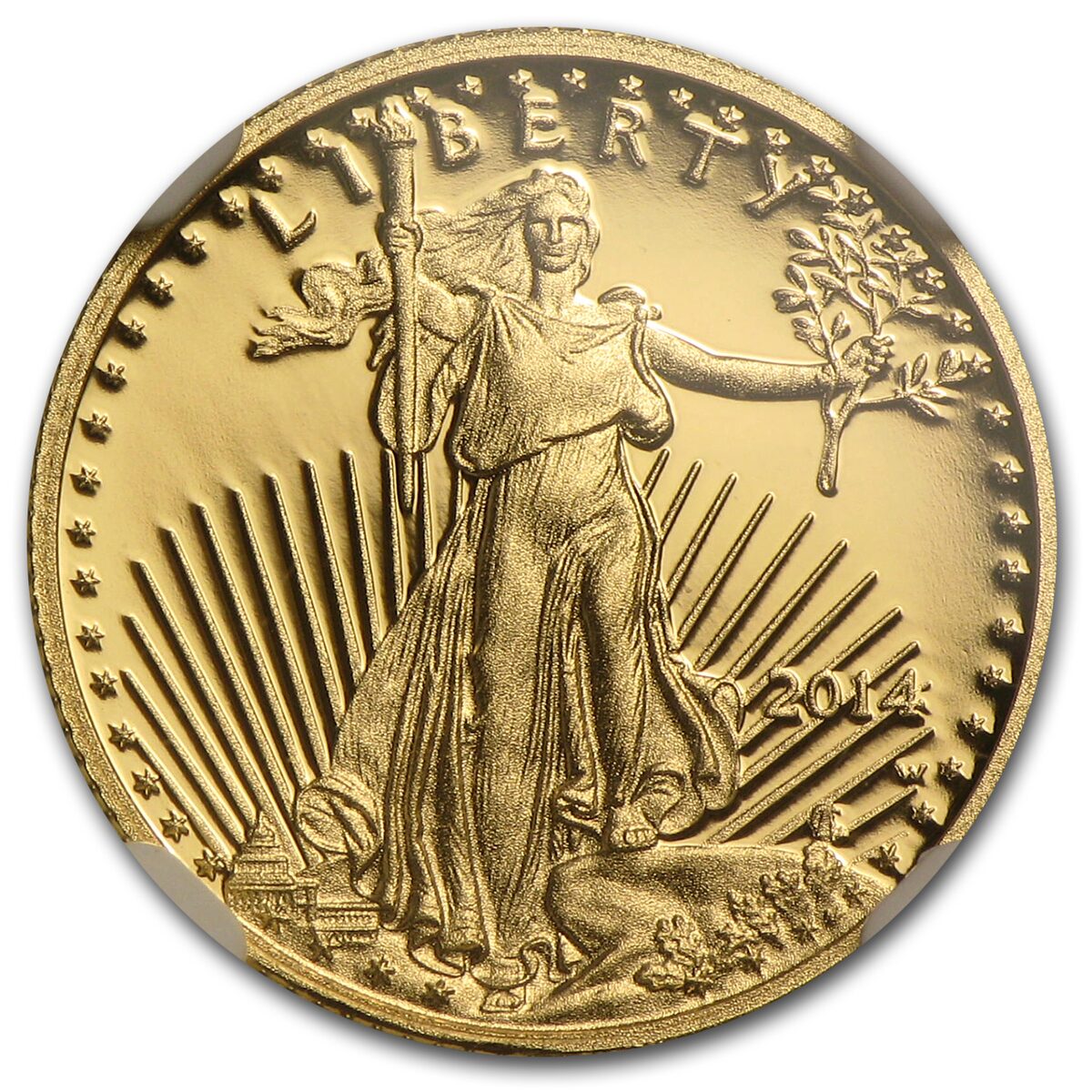 2014-W 1/10 oz Proof American Gold Eagle PF-70 NGC (ER)