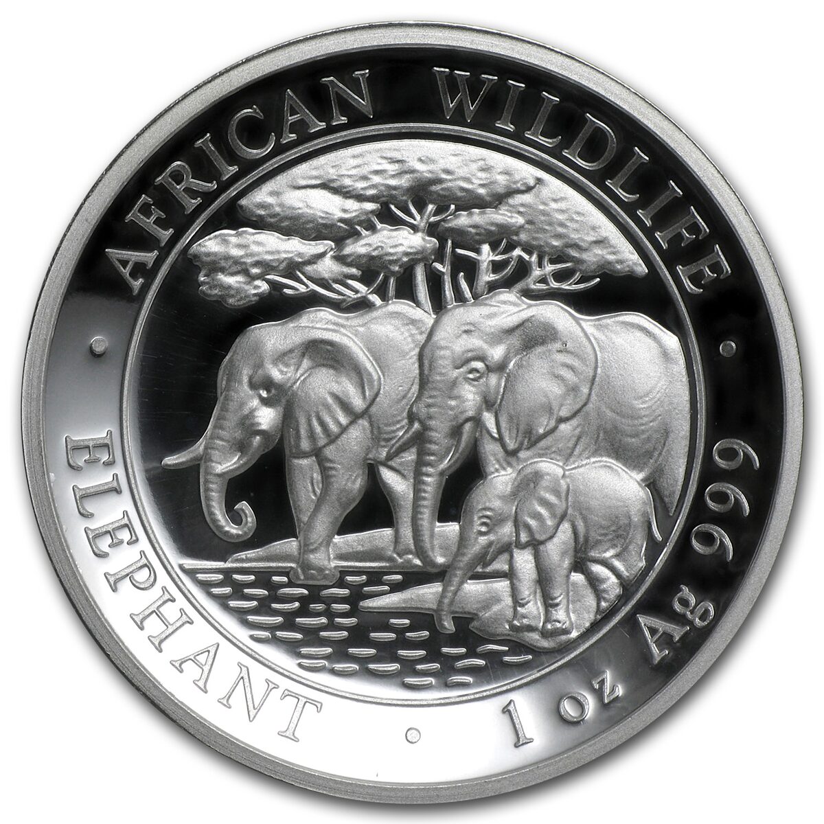 2013 Somalia 1 oz Silver Elephant PF-69 NGC (High Relief)