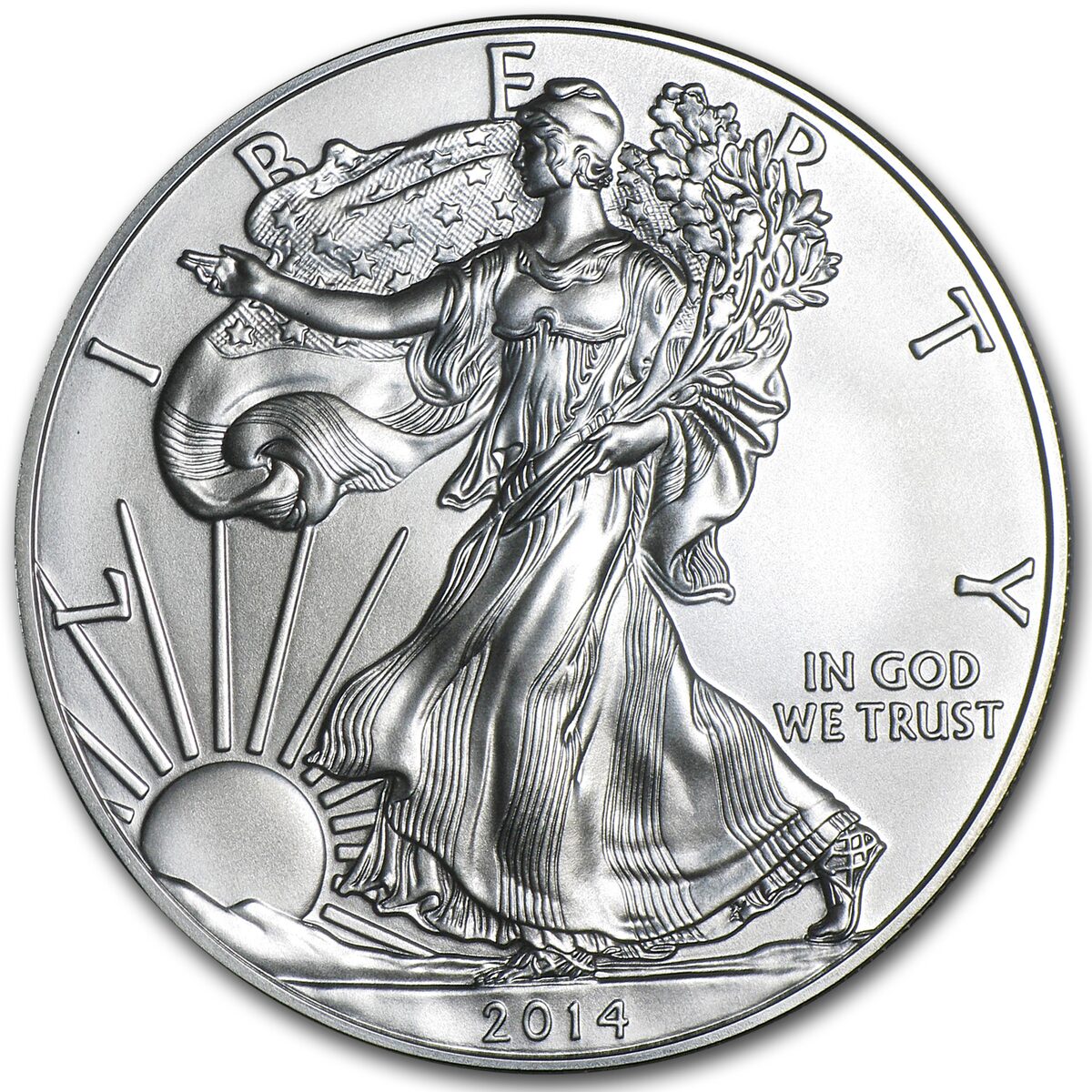 2014-W Burnished American Silver Eagle (w/Box & COA)