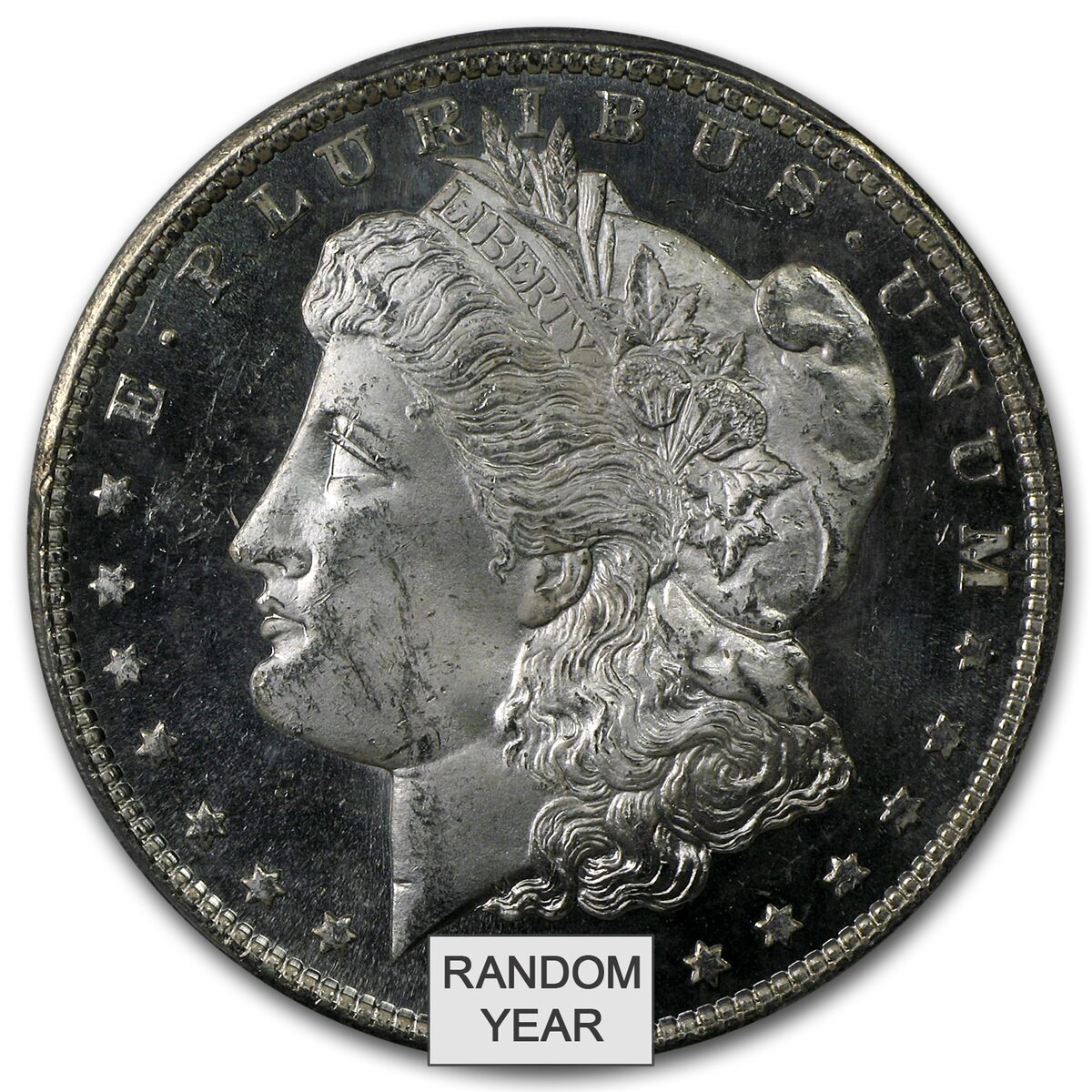 1878-1904 Morgan Dollars MS-64 DMPL PCGS