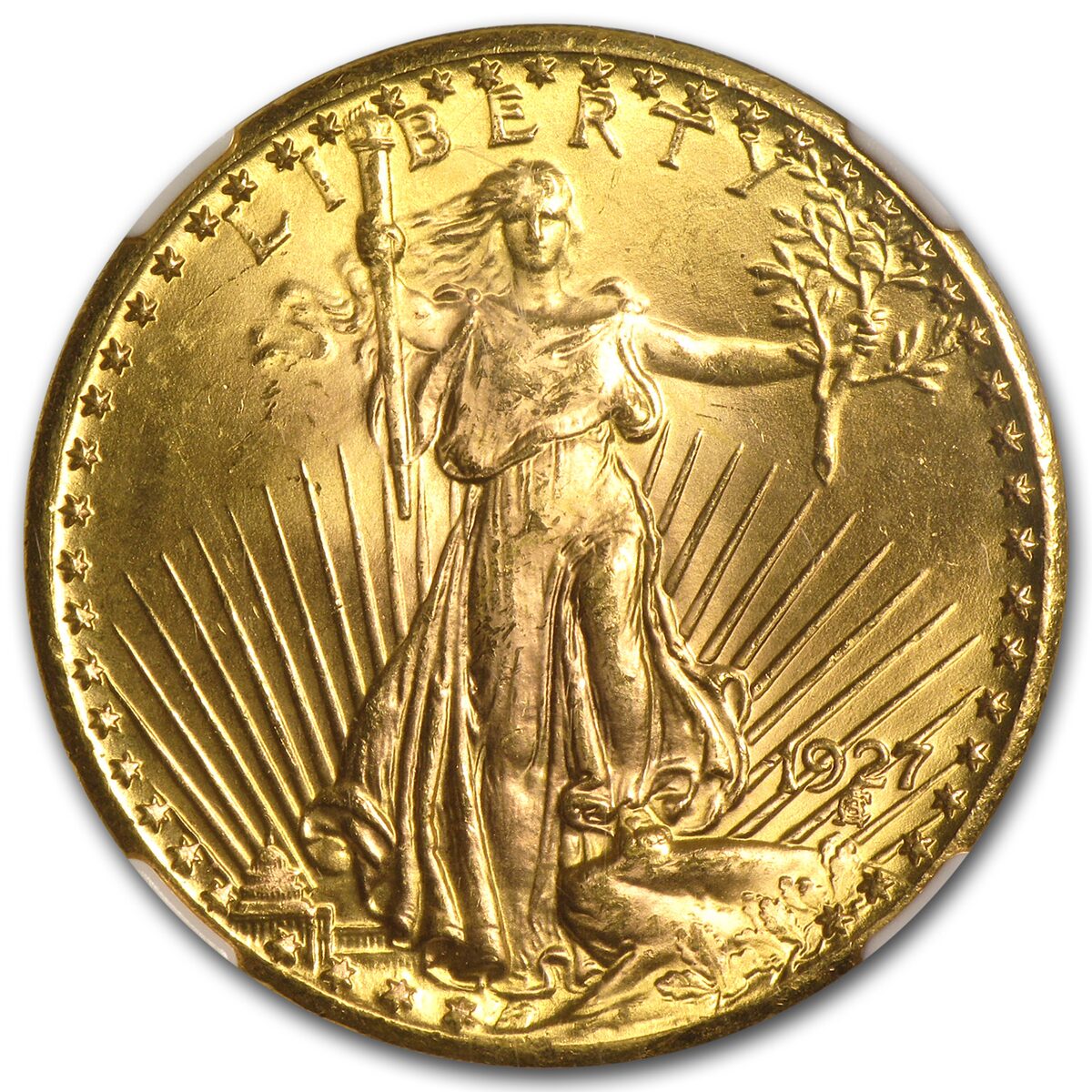 $20 St Gaudens Gold Double Eagle MS-64+ NGC (Random)