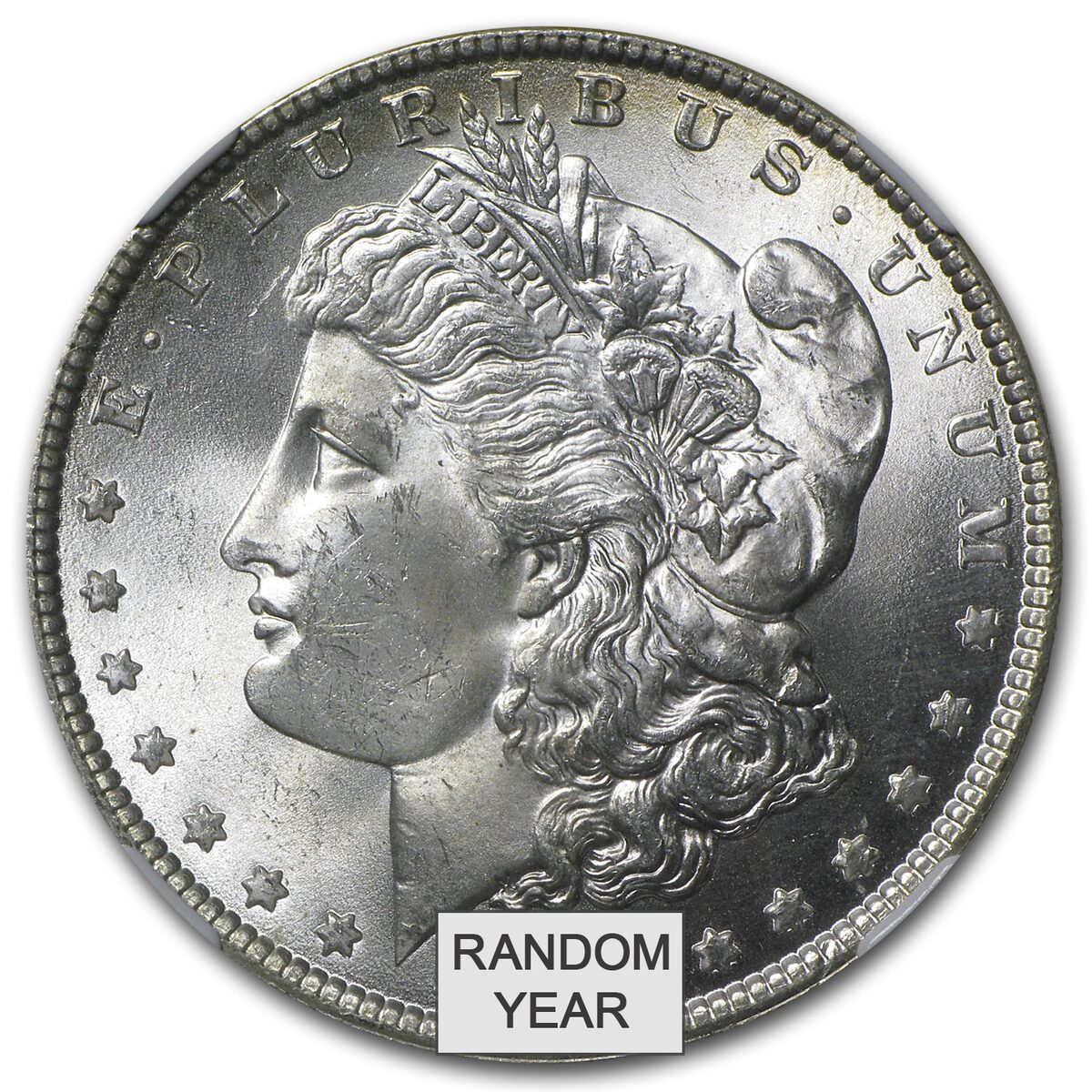 1878-1904 Morgan Dollars MS-64+ NGC