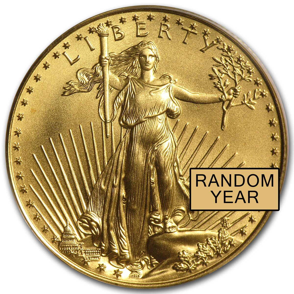 1/2 oz American Gold Eagle MS-69 PCGS (Random Year)