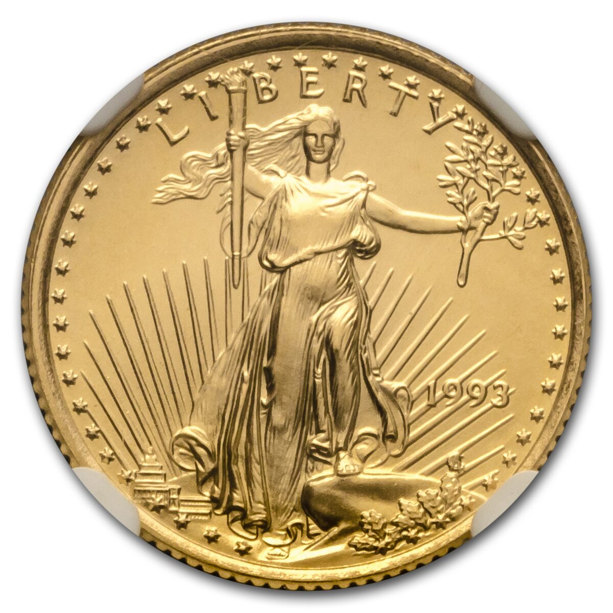 1993 1/10 oz American Gold Eagle MS-70 NGC