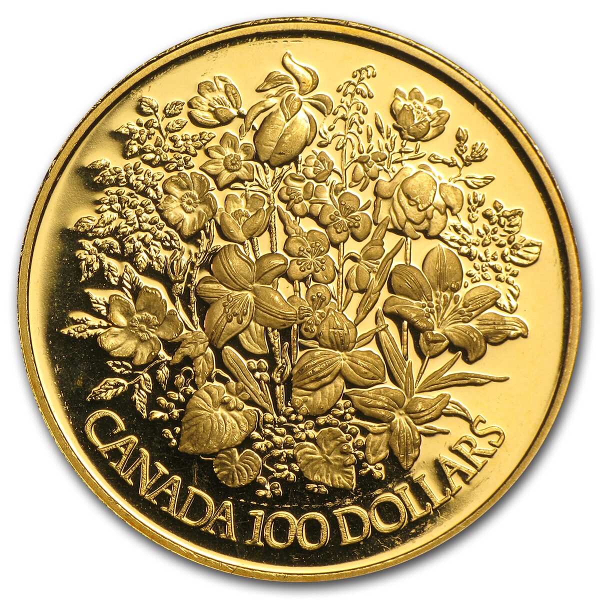 1977-1986 1/2 oz Gold Canadian $100 Proof (Abrasions)