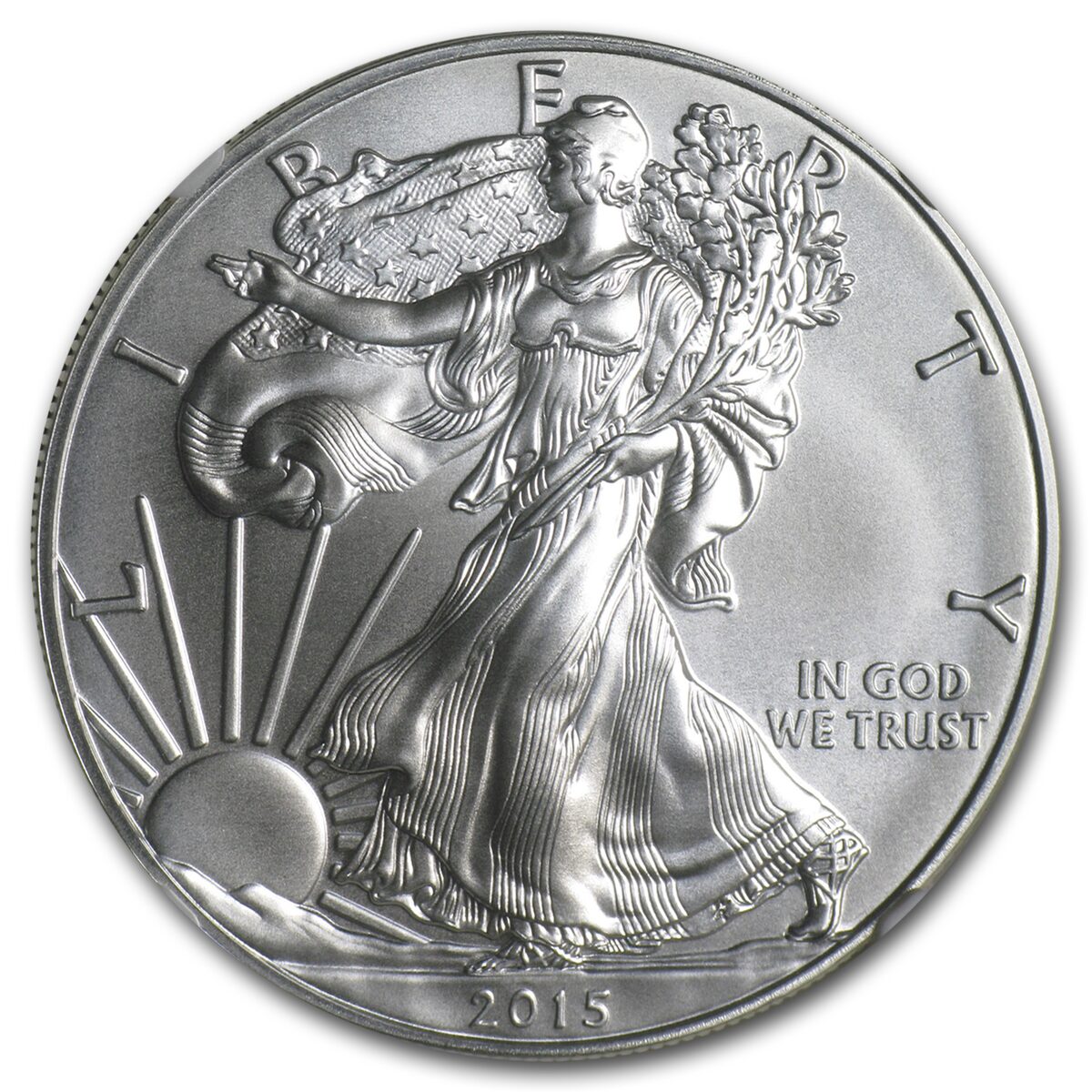 2015 American Silver Eagle MS-70 NGC (First Day Issue)