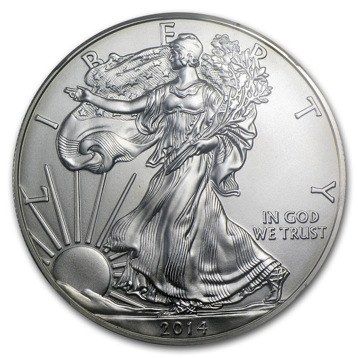 2014 American Silver Eagle MS-70 NGC