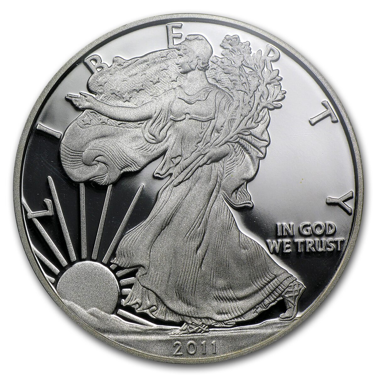 1 oz Proof American Silver Eagle PR-70 NGC/PCGS (Random, Spotted)