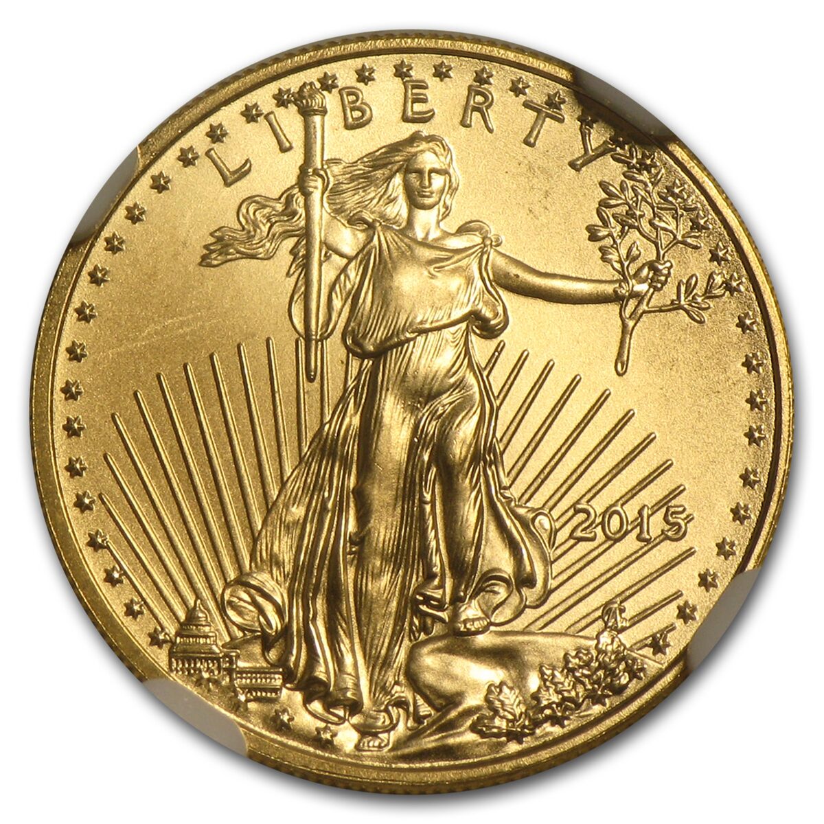 2015 1/10 oz American Gold Eagle MS-69 NGC (Narrow Reeds)